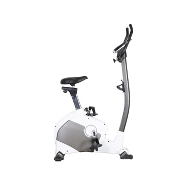Upright Magnetic Electric Bike.webp